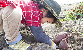 食育のイメージ画像