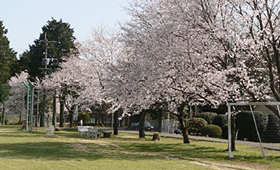 地域貢献のイメージ画像